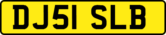 DJ51SLB