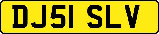 DJ51SLV