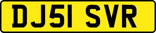 DJ51SVR