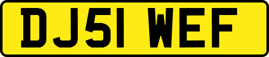 DJ51WEF