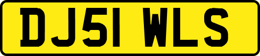 DJ51WLS