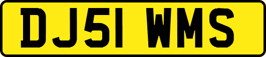 DJ51WMS