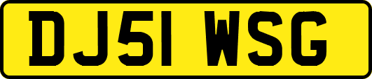 DJ51WSG