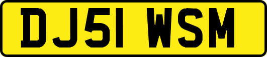 DJ51WSM