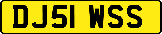 DJ51WSS