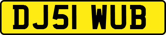 DJ51WUB