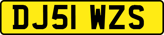 DJ51WZS