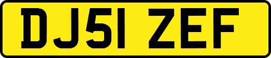 DJ51ZEF