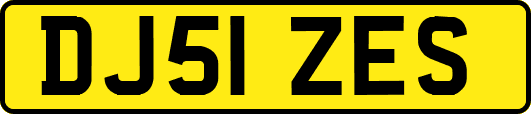 DJ51ZES