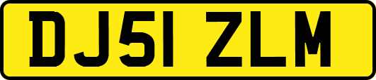 DJ51ZLM