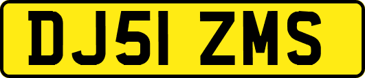DJ51ZMS