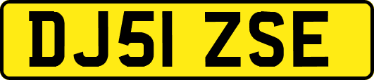 DJ51ZSE