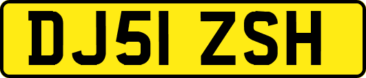 DJ51ZSH