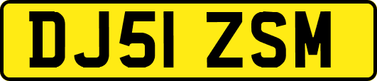 DJ51ZSM