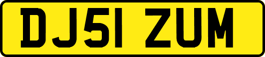 DJ51ZUM