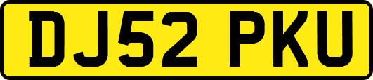 DJ52PKU
