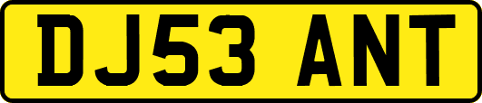 DJ53ANT
