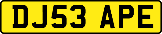 DJ53APE