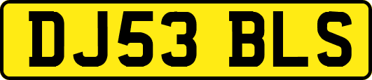 DJ53BLS