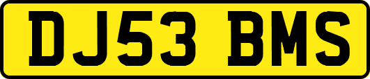DJ53BMS