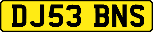 DJ53BNS