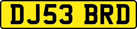 DJ53BRD