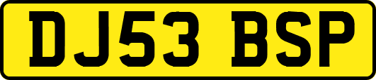 DJ53BSP