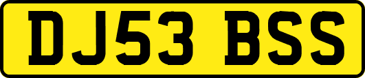 DJ53BSS