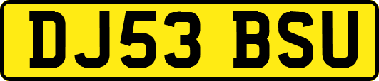DJ53BSU