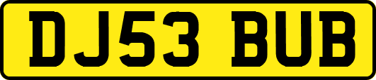 DJ53BUB
