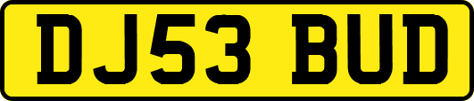 DJ53BUD