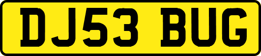DJ53BUG