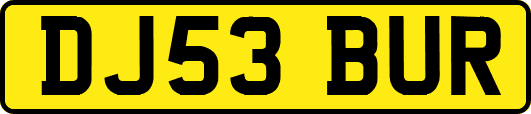 DJ53BUR