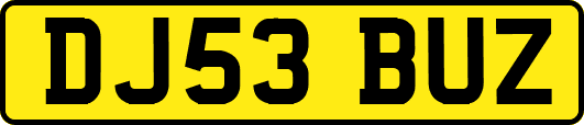 DJ53BUZ