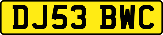 DJ53BWC