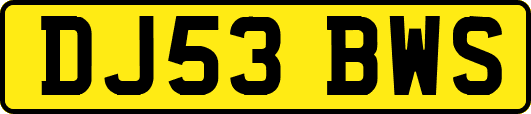 DJ53BWS