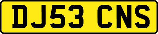 DJ53CNS