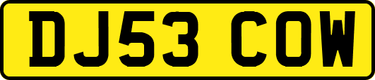 DJ53COW