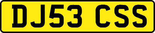 DJ53CSS