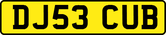 DJ53CUB