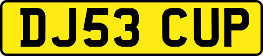DJ53CUP