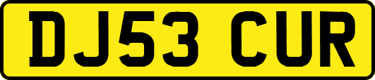 DJ53CUR