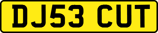 DJ53CUT