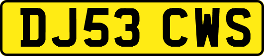 DJ53CWS