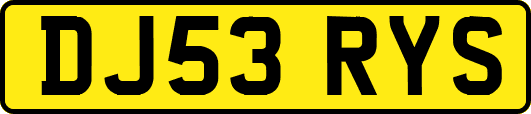 DJ53RYS