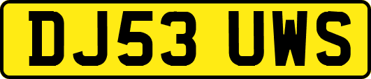 DJ53UWS