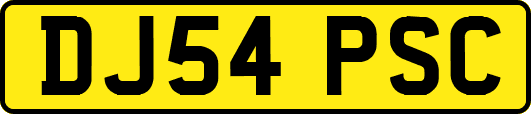 DJ54PSC
