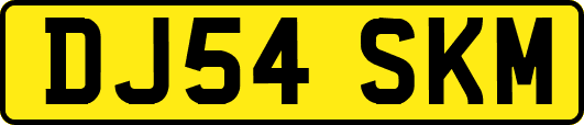 DJ54SKM