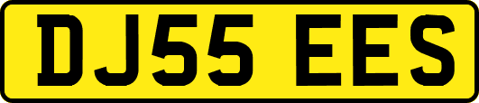 DJ55EES