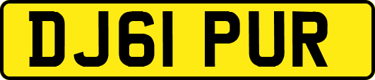 DJ61PUR